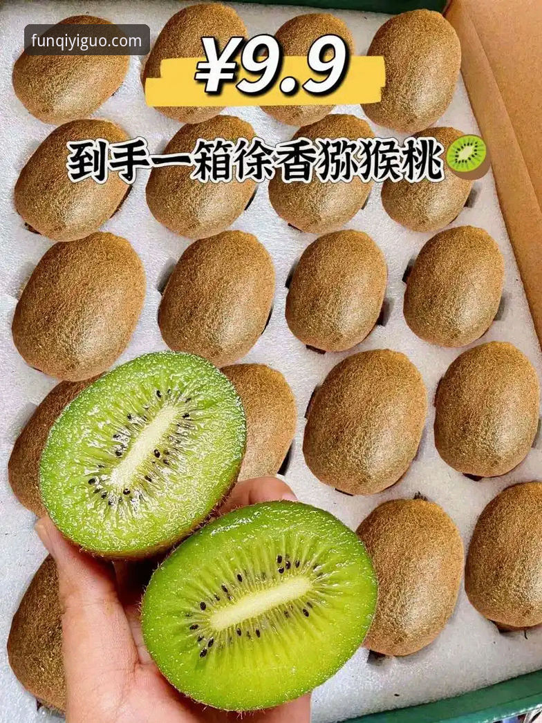 奇异果娱乐App安卓对比 7个关键维度解析奇异果娱乐App安卓对比,3.0版本带来哪些升级?